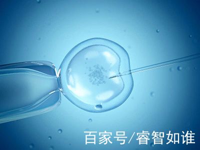 苏主任